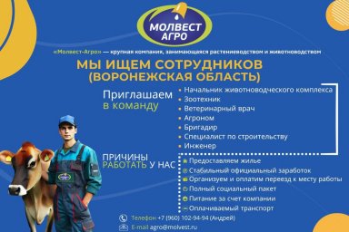 Компания Молвест-Агро приглашает опытных специалистов для работы в Аннинском районе Воронежской обла Компания Молвест-Агро приглашает опытных специалистов для работы в Аннинском районе Воронежской обла