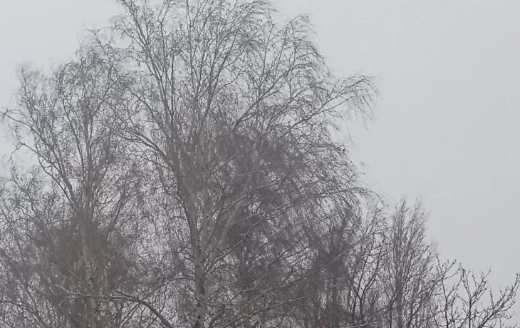 Администрация Уварово